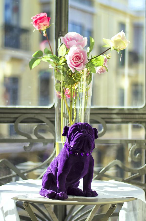 Purple Dog Suites Leon Exterior photo